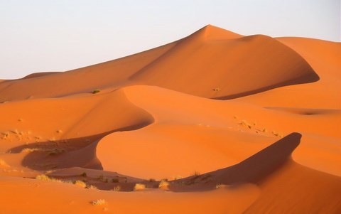 Vagues de dunes Des vagues de dunes à Chegaga Maroc (Vidas)